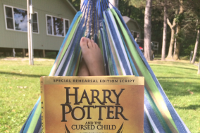 harry potter cursed child hammock.png